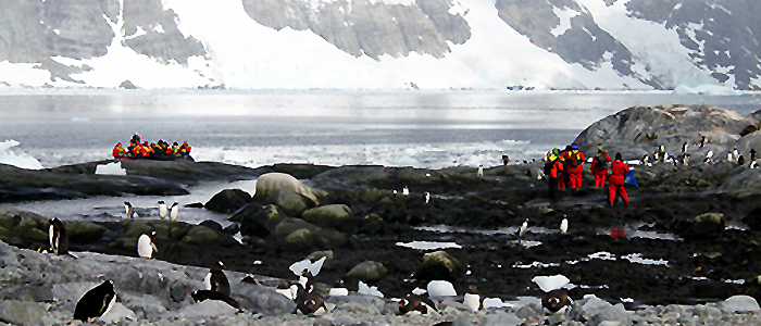 南極フライ＆クルーズ（Ⅲ）サウスシェットランド諸島6日間