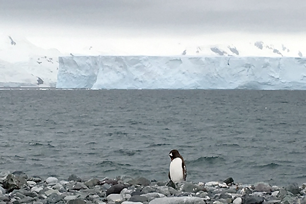 南極フライ＆クルーズエクスプレス6日間体験談