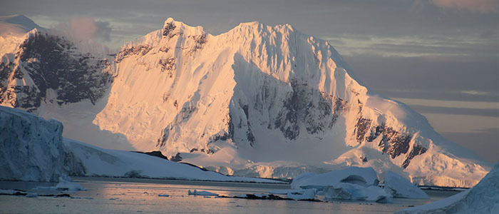 野川さん写真集＆南極クルーズ情報（5）旅の終わり