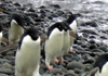 南極体験談2009_004.jpg