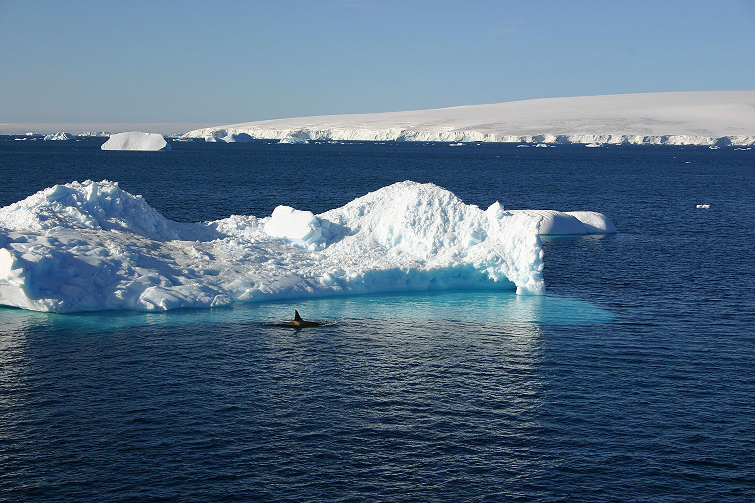 南極イメージ