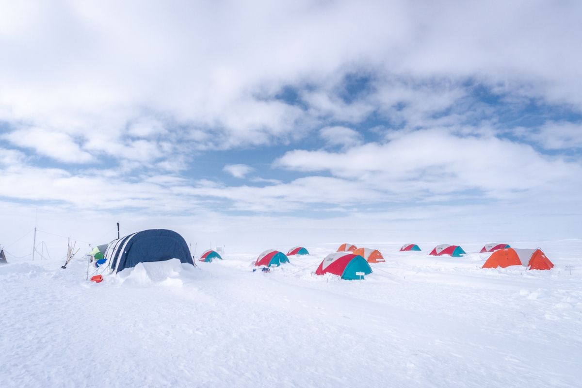 皇帝ペンギンコースのフィールドキャンプ