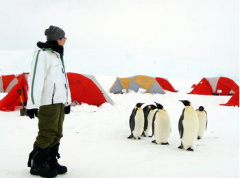 皇帝ペンギンサファリ＆南極点フライト9日間