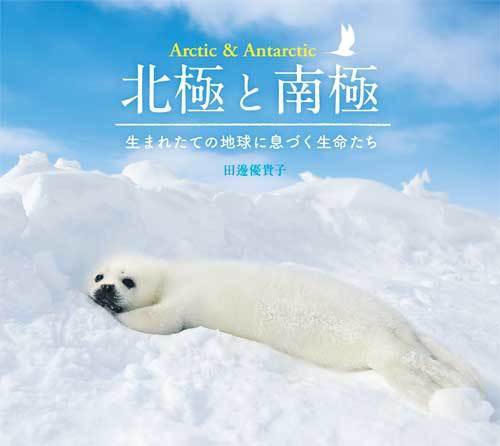 田邊優貴子『北極と南極・・・・生まれたての地球に息づく生命たち』