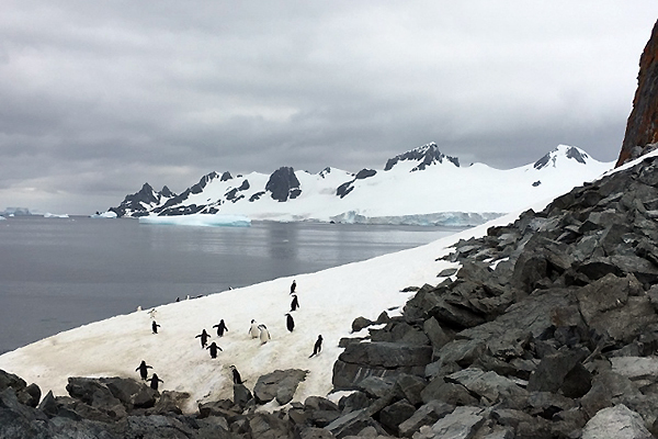 南極フライ＆クルーズエクスプレス6日間体験談 