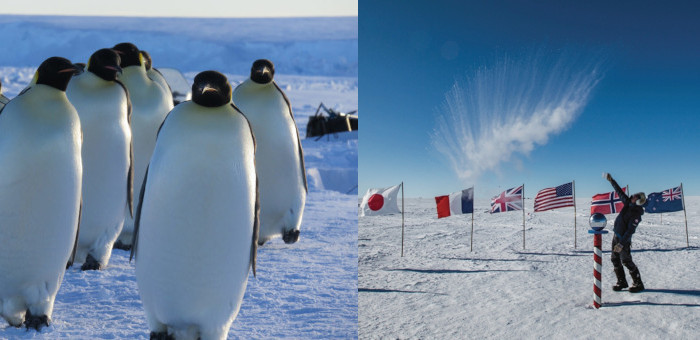 【南極大陸】皇帝ペンギンサファリ＆南極点フライト9日間