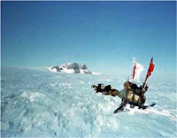 南極観測隊第一次越冬隊とカラフト犬