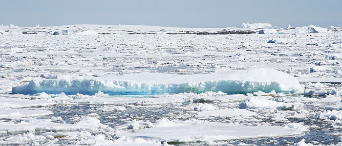 野川さん写真集＆南極クルーズ情報（1）旅の始まり