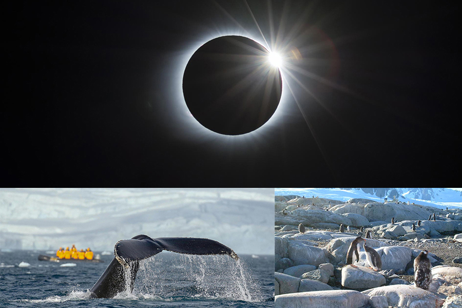 南極の皆既日食とクルーズツアー