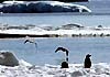 南極体験談2011_01.jpg