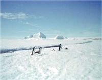 南極観測隊・第一次越冬隊の記録