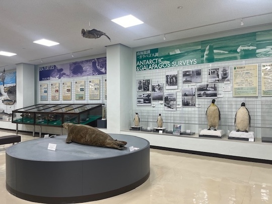 館内の展示風景