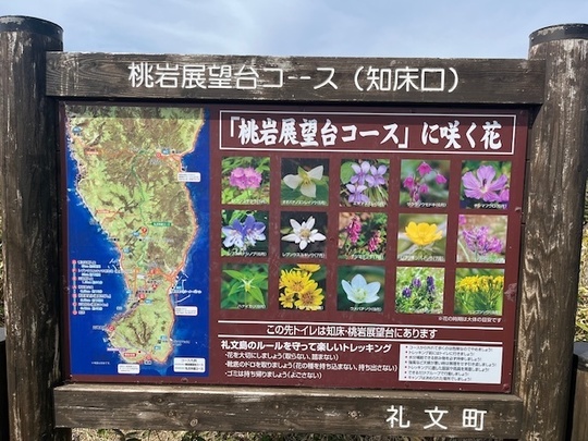 桃岩展望台ハイキングコースマップ