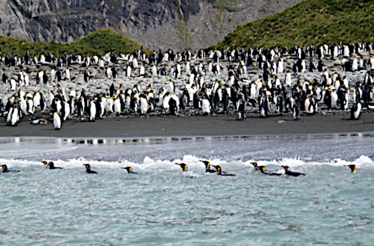 南極サウスシェットランド諸島イメージ