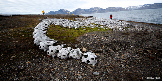 スピッツベルゲンイメージ