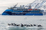 オーシャン・アルバトロス号で行くフォークランド諸島、サウスジョージア＆南極半島（南極圏横断）23日間