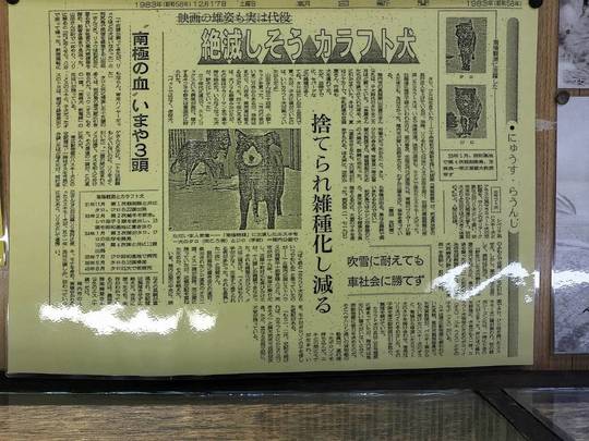 昭和58年（1983年）朝日新聞の記事「絶滅しそう樺太犬　～南極の血　いまや3頭～」