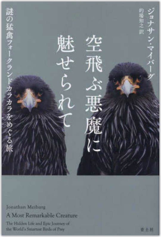 「空飛ぶ悪魔に魅せられて」 by ジョナサン・マイバーグ
