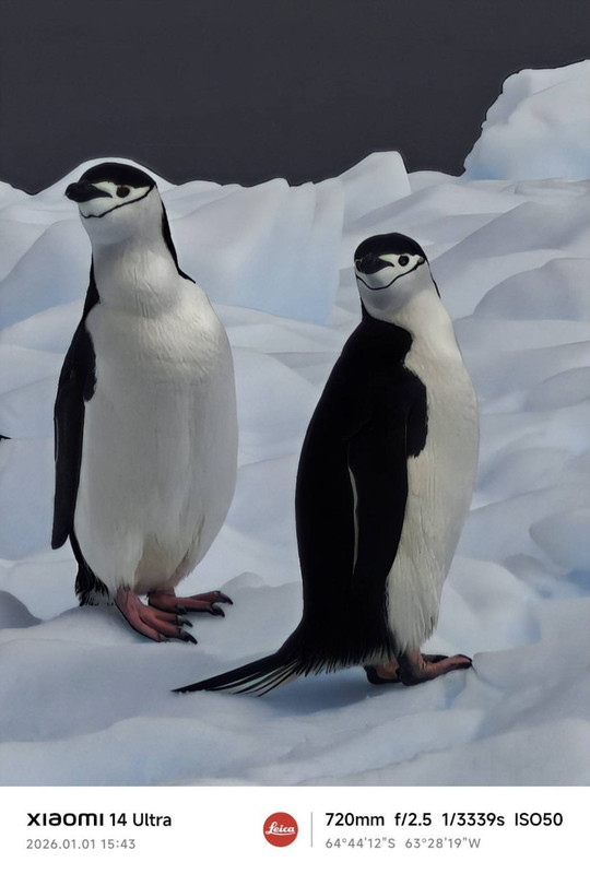 2025年12月出発「南極半島＆サウスシェットランド諸島クルーズ11日間」K.F.さん体験アンケート＆写真