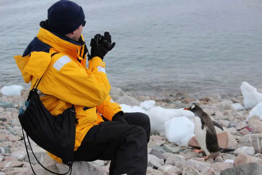 シニア世代のひとり旅クルーズイメージ