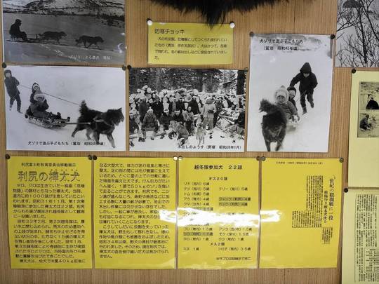 樺太犬についての資料